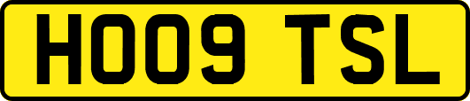 HO09TSL