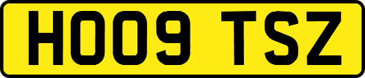 HO09TSZ