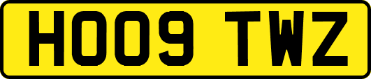 HO09TWZ