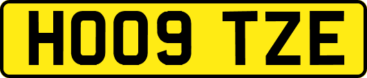 HO09TZE