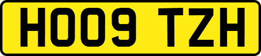 HO09TZH