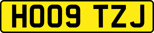HO09TZJ