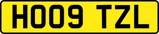 HO09TZL
