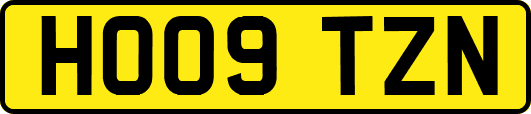 HO09TZN