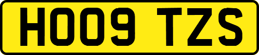 HO09TZS