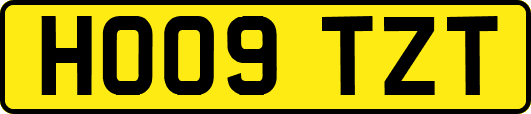 HO09TZT