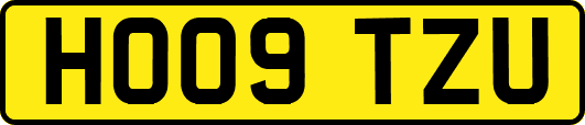 HO09TZU