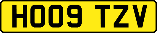 HO09TZV