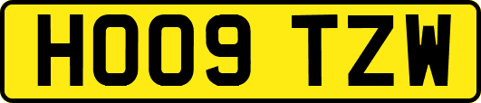 HO09TZW