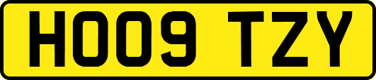 HO09TZY