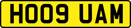 HO09UAM