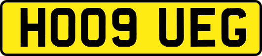 HO09UEG