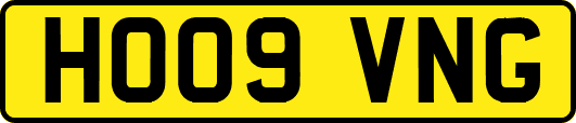 HO09VNG