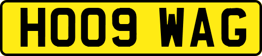 HO09WAG