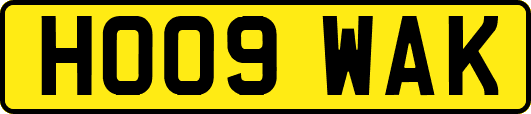 HO09WAK