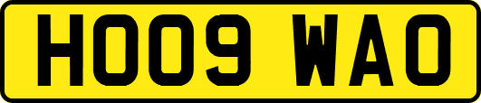HO09WAO