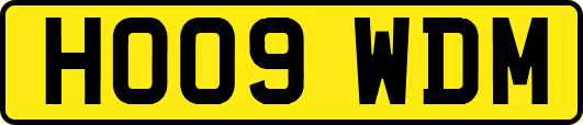 HO09WDM