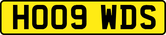 HO09WDS
