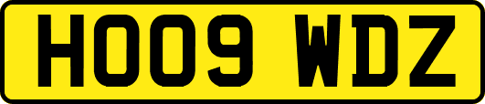 HO09WDZ