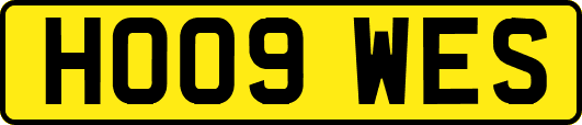HO09WES
