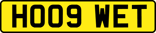 HO09WET