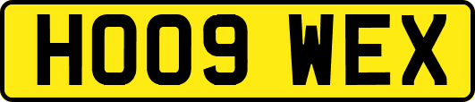 HO09WEX