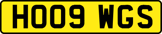 HO09WGS