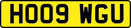 HO09WGU