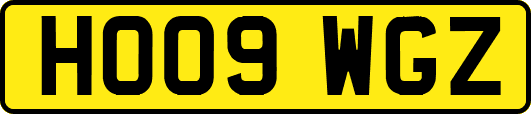 HO09WGZ