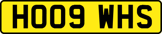 HO09WHS