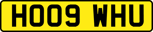 HO09WHU