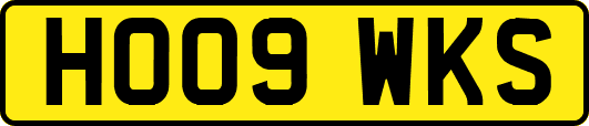 HO09WKS