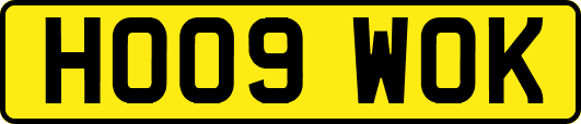 HO09WOK