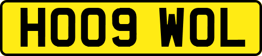 HO09WOL
