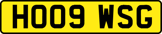HO09WSG