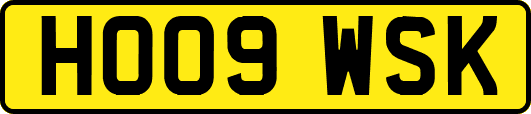 HO09WSK