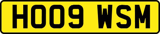 HO09WSM