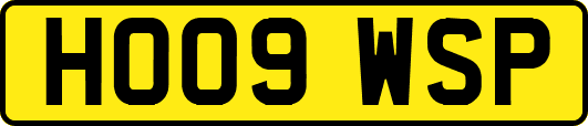 HO09WSP