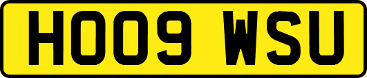 HO09WSU