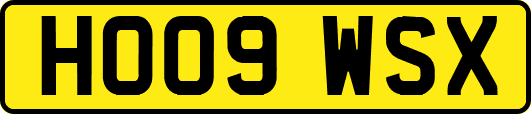 HO09WSX