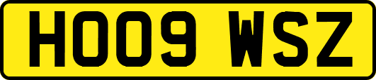 HO09WSZ