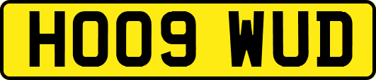HO09WUD