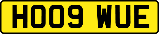 HO09WUE