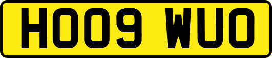 HO09WUO