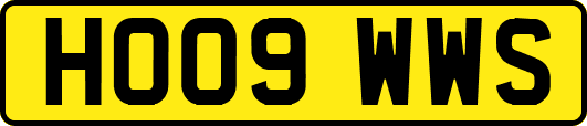 HO09WWS
