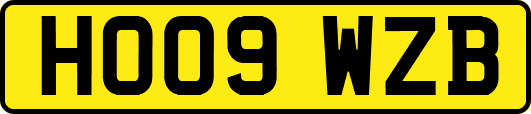 HO09WZB