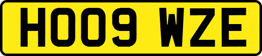 HO09WZE
