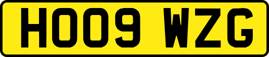 HO09WZG