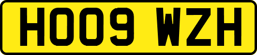 HO09WZH