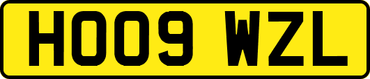 HO09WZL